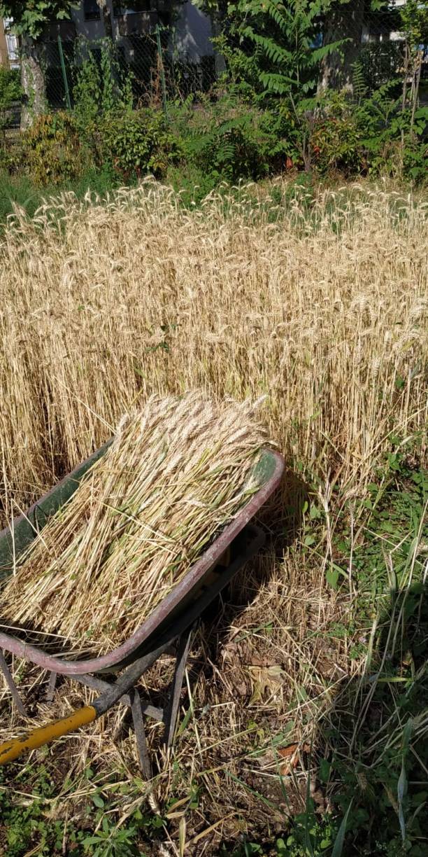 WhatsApp Image 2019-06-22 at 17.15.13