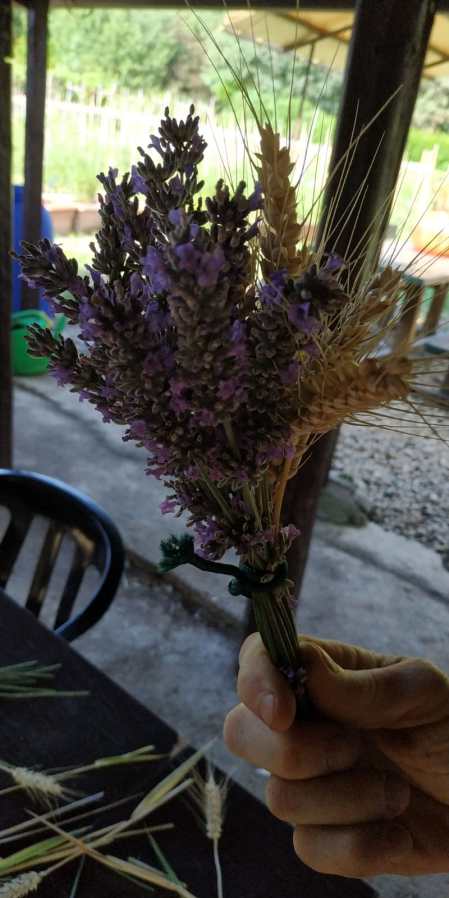 WhatsApp Image 2019-06-22 at 17.25.04