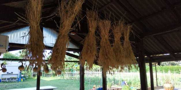 WhatsApp Image 2019-06-22 at 18.04.22